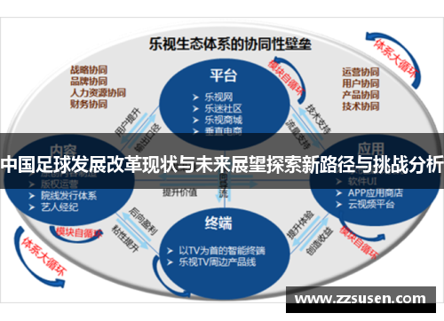 中国足球发展改革现状与未来展望探索新路径与挑战分析