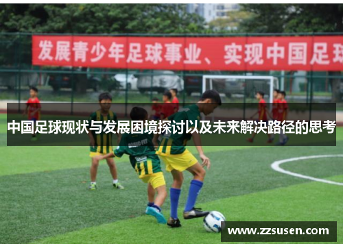 中国足球现状与发展困境探讨以及未来解决路径的思考